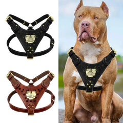 Personalised Leather Dog Harness.