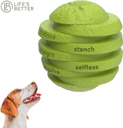 Indestructible Dog Chew Toy and Treat Dispenser.
