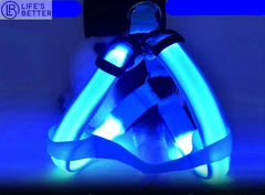 Nylon Pet Safety Harness with LED Lights: Safe and Adjustable.