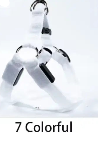 Nylon Pet Safety Harness with LED Lights: Safe and Adjustable.
