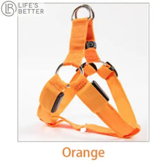 Nylon Pet Safety Harness with LED Lights: Safe and Adjustable.