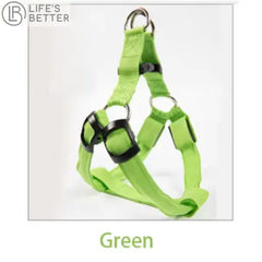 Nylon Pet Safety Harness with LED Lights: Safe and Adjustable.