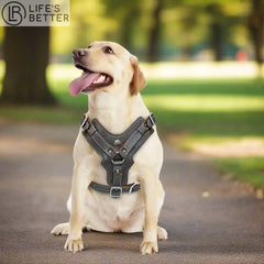 Genuine Leather Large Dog Harness.