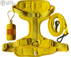Lightweight Dog Harness Set.