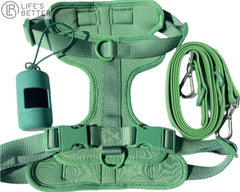 Lightweight Dog Harness Set.