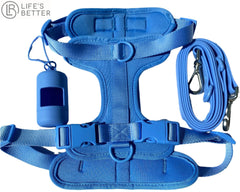 Lightweight Dog Harness Set.