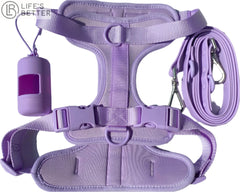 Lightweight Dog Harness Set.
