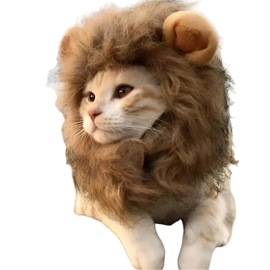 Lion Mane Wig for Small Dogs and Cats!.