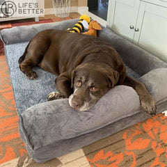 Luxurious Extra Large Orthopedic Soft Sponge Foam Dog Bed Life’s Better Ltd
