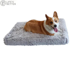 Luxury Orthopedic Memory Foam Dog Bed.