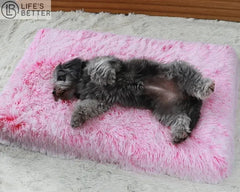 Luxury Orthopedic Memory Foam Dog Bed.