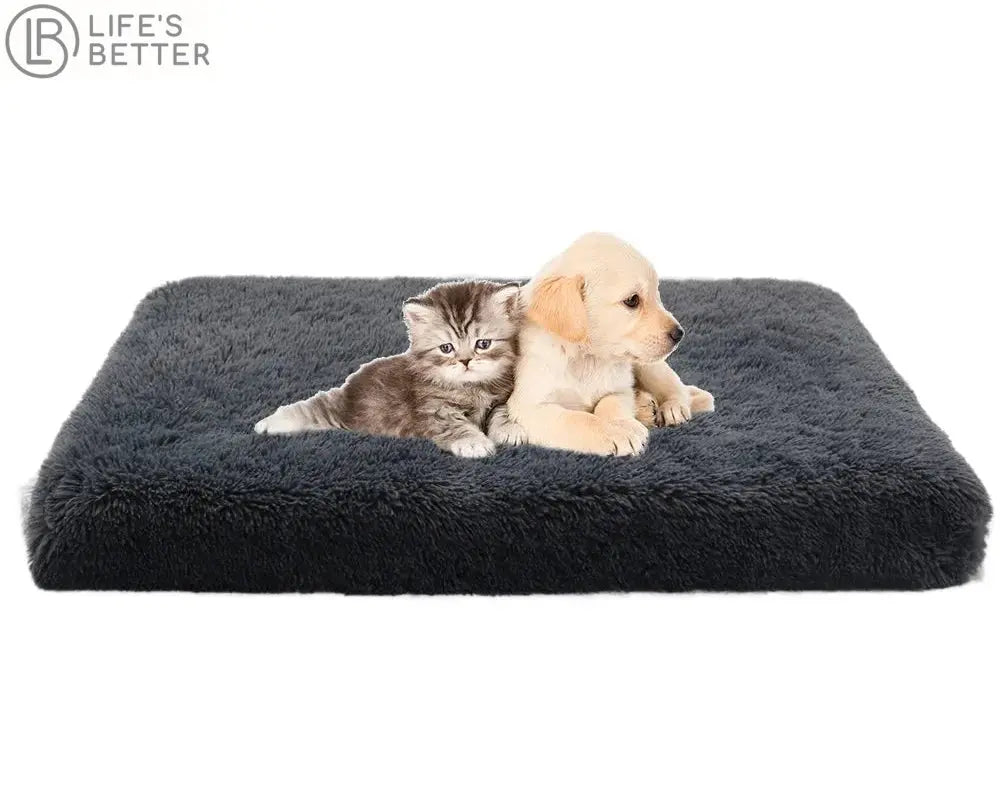 Luxury Orthopedic Memory Foam Dog Bed.