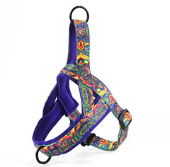 Nylon Dog  Harness with Leash.