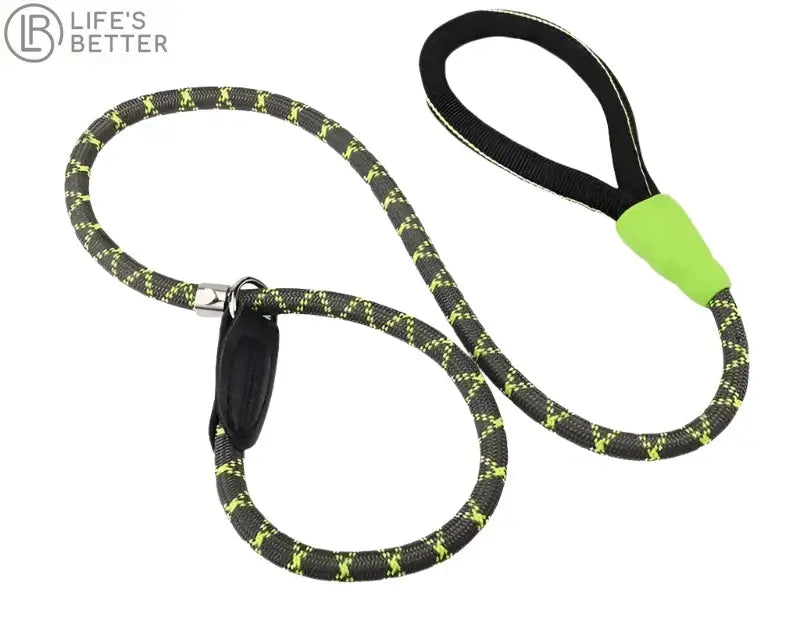 Our Durable Dog Leash P Chain Slip Collar.