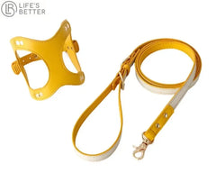 Luxury Leather Pet Harness with PU Leather Lead.