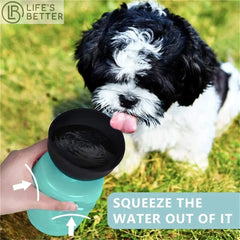 Portable Pet Hydration Solution: 500ML Dog Water Bottle Bowl Life’s Better Ltd