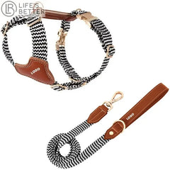 Premium Leather & Woven Harness with Anti-Explosion Dog Rope.