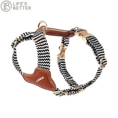 Premium Leather & Woven Harness with Anti-Explosion Dog Rope.