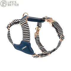 Premium Leather & Woven Harness with Anti-Explosion Dog Rope.