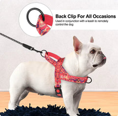 Nylon Dog  Harness with Leash.