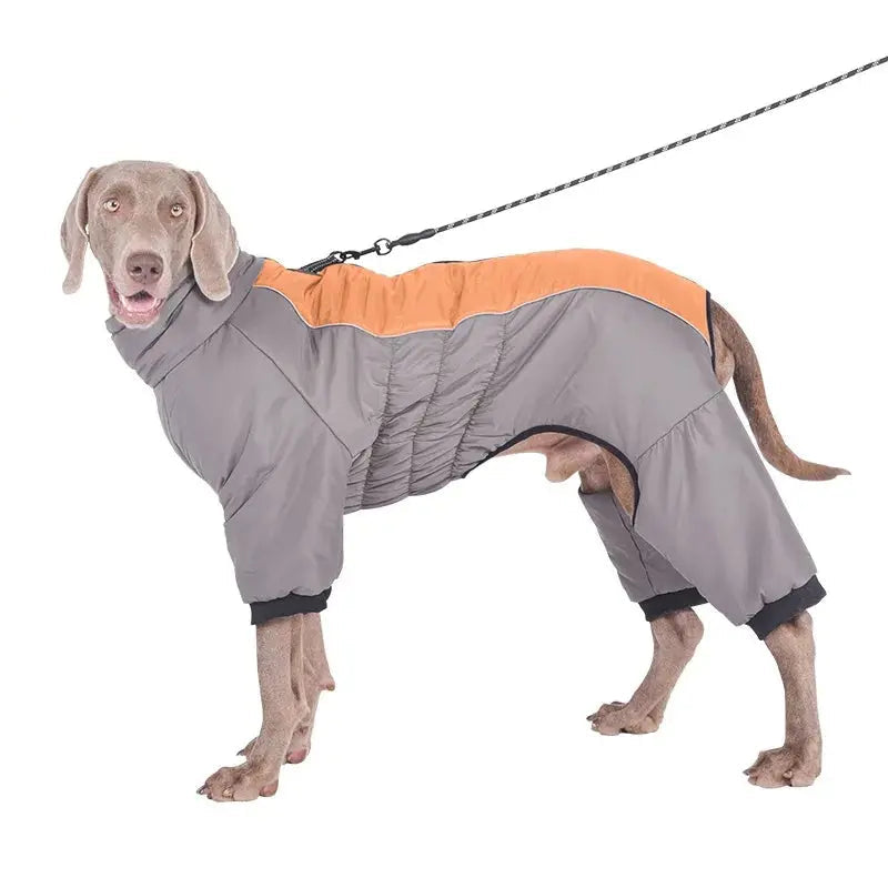 Reflective Waterproof Dog Padded Coat Life’s Better Ltd
