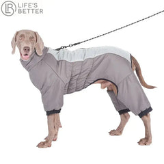 Reflective Waterproof Dog Padded Coat Life’s Better Ltd