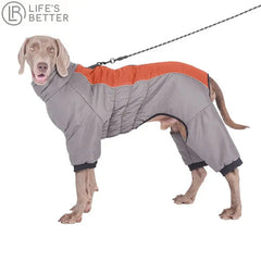 Reflective Waterproof Dog Padded Coat Life’s Better Ltd