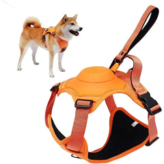 Adjustable Dog Harness with Integrated Retractable Lead.