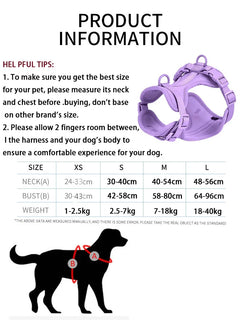 Lightweight Dog Harness Set.