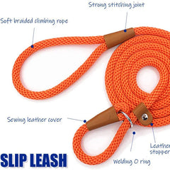 Ultimate Comfort with Our 2-in-1  Slip Lead.