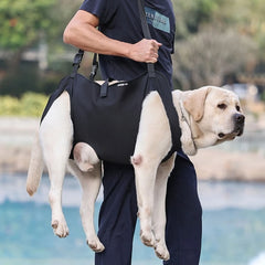 Whole Body Dog Lift Harness for Large Dogs with Legs Support.