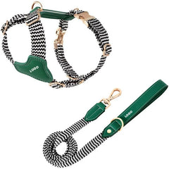 Premium Leather & Woven Harness with Anti-Explosion Dog Rope.