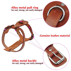 Genuine Premium Leather Dog Harness.