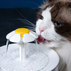 Automatic Cat Filtered Water Fountain Filter USB Electric.