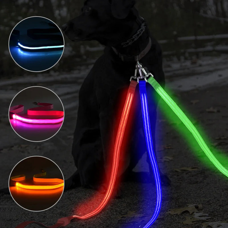 LED Light Up Dog Leash / Lead for Safety!.