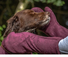 Ultra-Absorbent Pet Drying Gauntlets