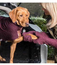 Ultra-Absorbent Pet Drying Gauntlets