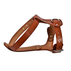 Genuine Premium Leather Dog Harness.