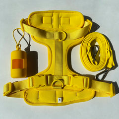 Lightweight Dog Harness Set.