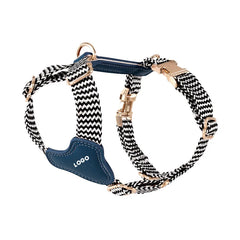 Premium Leather & Woven Harness with Anti-Explosion Dog Rope.