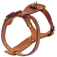 Genuine Premium Leather Dog Harness.