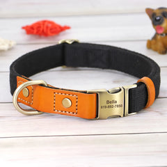 Beautifully Crafted Leather & Nylon Personalised Dog Collar & Lead Set.