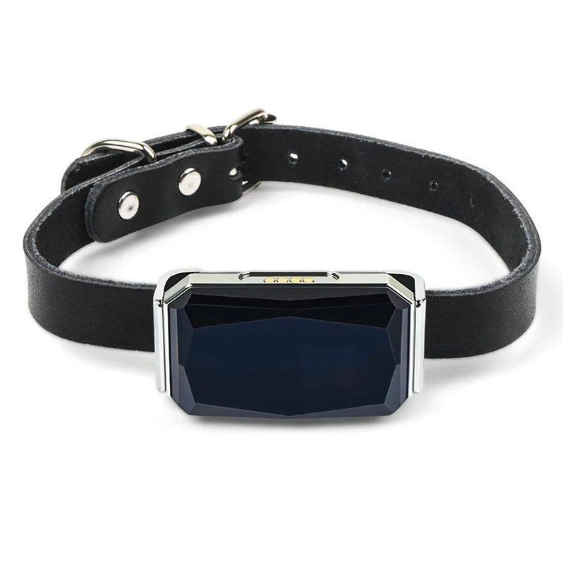 Adjustable Collar Waterproof Real-Time Pet GPS Location Tracker