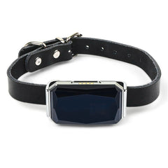 Adjustable Collar Waterproof Real-Time Pet GPS Location Tracker