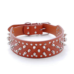 Skull Spiked Studded Leather Dog Collar.