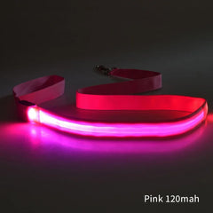 LED Light Up Dog Leash / Lead for Safety!.