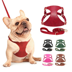 Beautifully Luxurious Soft Genuine Leather Dog Harness & Leash Sets.