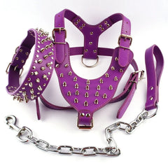 Studded Leather Dog Harness.