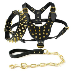 Studded Leather Dog Harness.