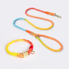 Colourful Woven Rope Dog Lead & Collar Set.